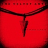 album cover for Arrows Always by The Velvet Ants